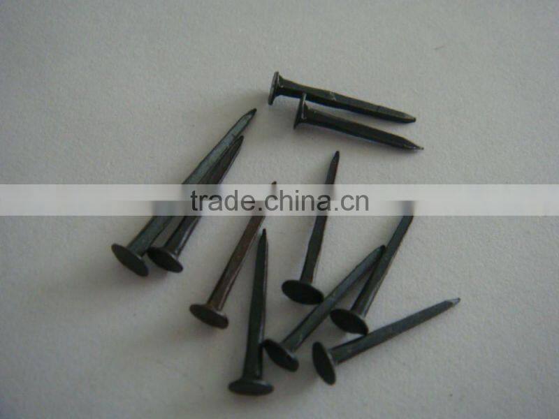Blue Shoe Tacks Nails Factory/Fine Shoe Tacks