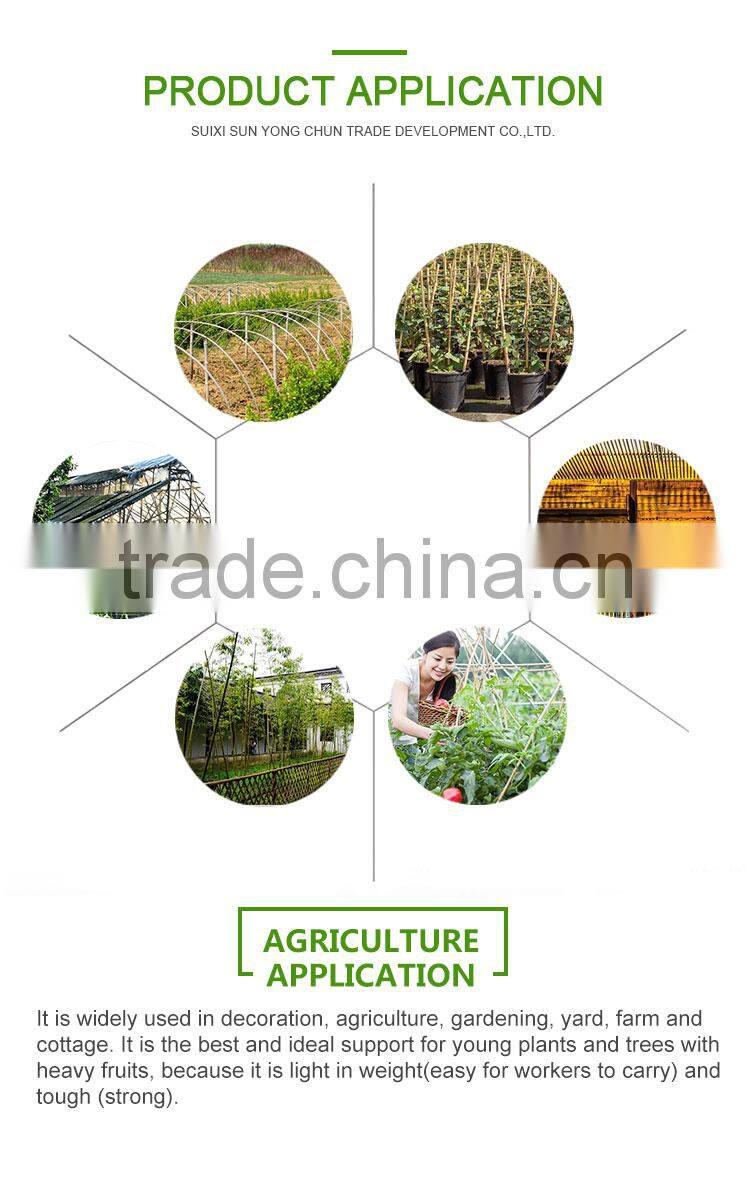 Diameter flag pole curtain christmas decoration bamboo canes for plants farm