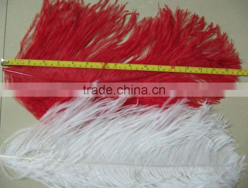 Carnival decorative large white ostrich feathers