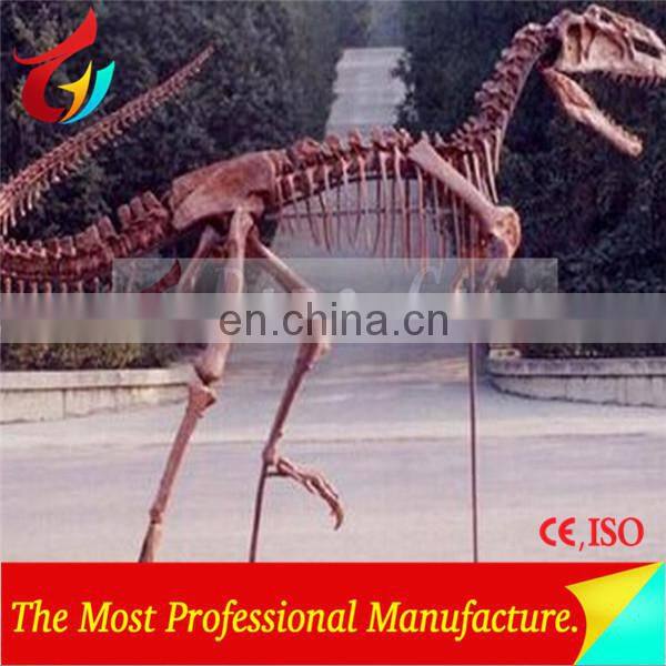 Competitive Price New Fiberglass Dinosaur Fossil Replica for Dino Park