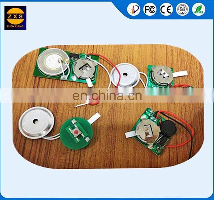 Audio Recordable Chip And Playback Chip Circuits For Cards And Toys