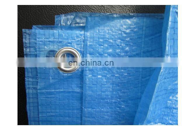 Blue PE Tarpaulin 40gsm-240gsm