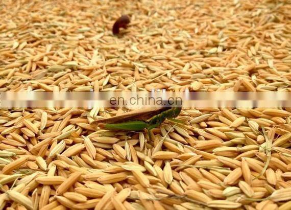 mini paddy rice milling machine/rice polishing machine/rice hulling machine