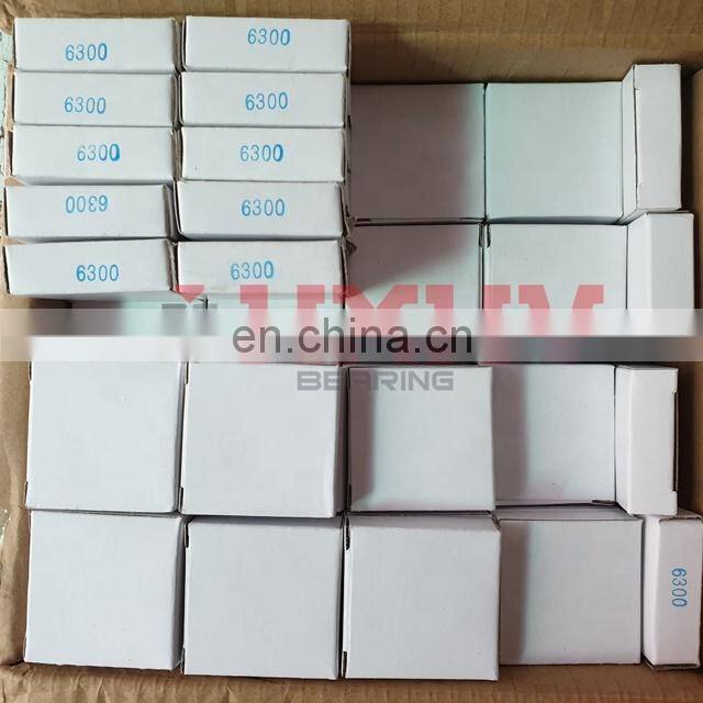 6300 10x35x11 Full ZrO2 Ceramic Bearing