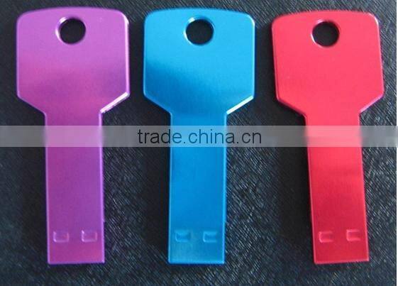 metal usb key usb / disk on key 2gb usb 2.0 driver with ROHS CE SASO 4gb 8gb 16gb 32gb