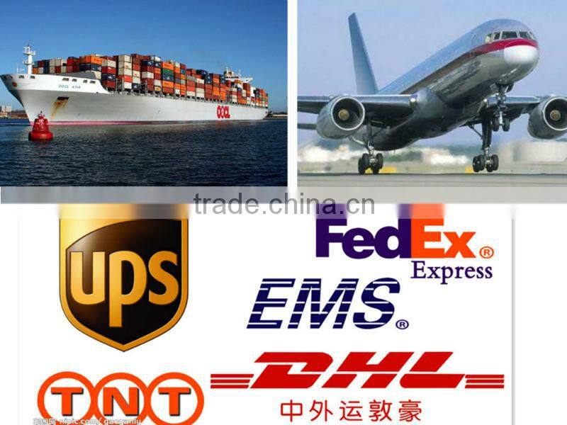 resin teeth jaw model