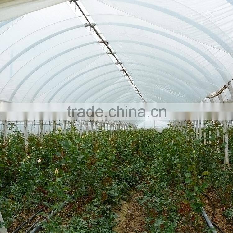 Wide variety new arrival apple hydrangea wreath