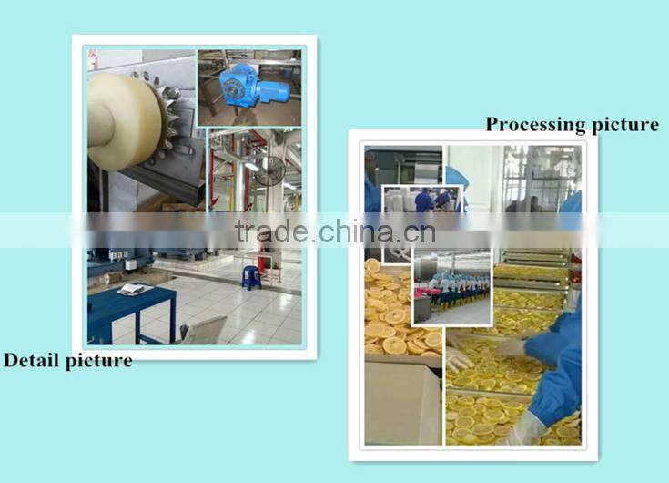 IQF industrial Quick freezer