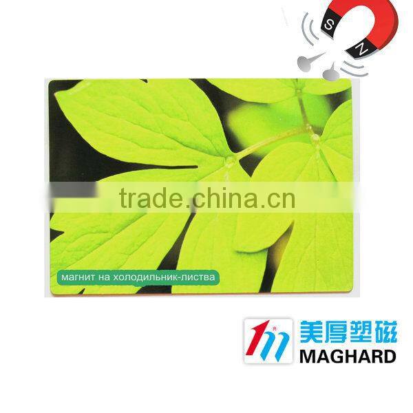 promotional refrigerator magnetic products