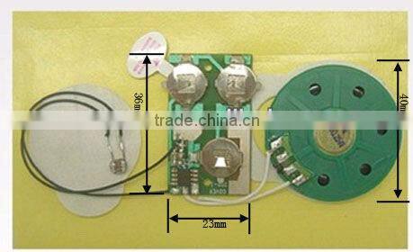Chipest sound module chip for toy/greeting card,promotional gift