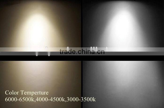 Black DC12V led floodlight 10W with CHILI45mil Chips, CE spotlight