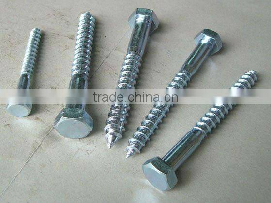 Wood Screw DIN571