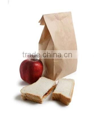 Envoirnmental holding kraft paper bag with logo print for food packing promotional shopping