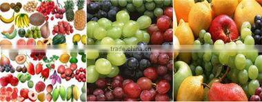 stainles steel double screw fruit juice extracting machine