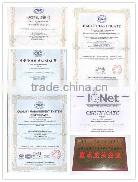 sunflower seeds kernels in Inner Mongolia