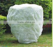 Guangzhou Junyu agriculture nonwoven fabric as a protection against heat loss in greenhouses and garden tunnels
