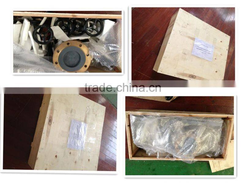 Worm Wheel Wafer Type Eccentric Butterfly Valves