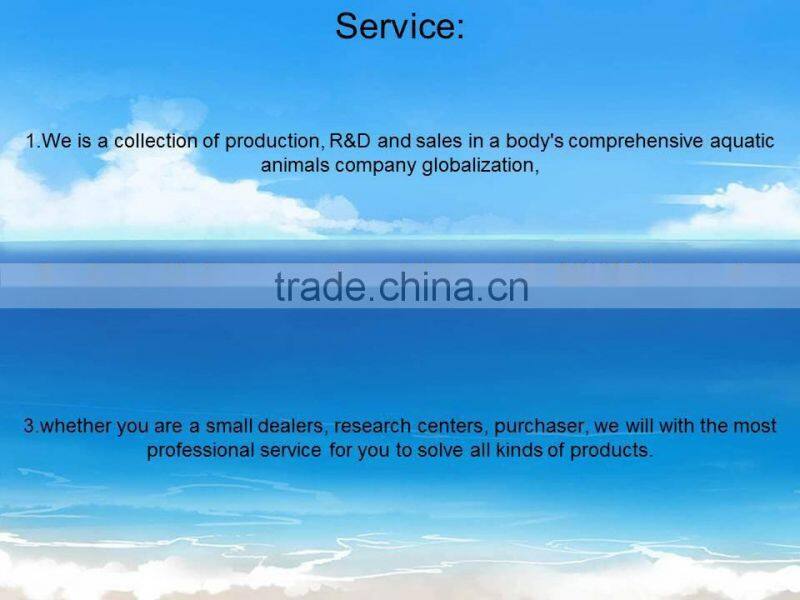 Alluring power adapter foot switch adapter SAA foot switch adapter