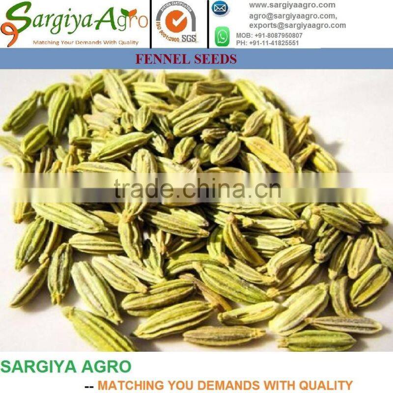 Fennel Seed