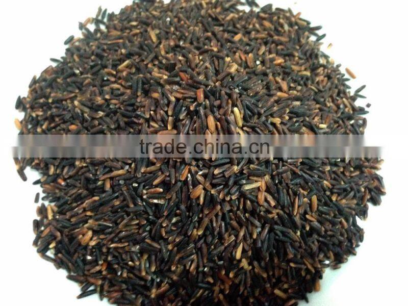 Organic Rice Berry from Thailand OEM