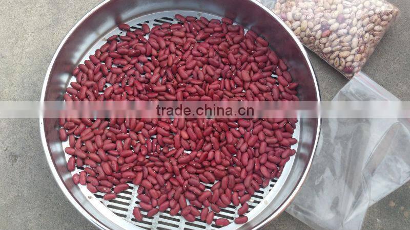 2015 crop kidney bean