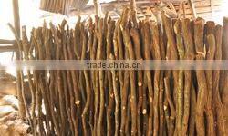 Handmade and Reliable Traditional Binchotan Charcoal(for BBQ) for cooking , small lot order available