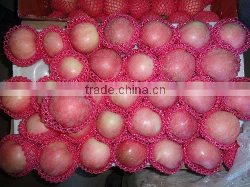 china fuji apples/yantai origin
