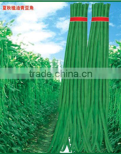 Chinese High Yield Long Green Asparagus Bean Seeds Cowpea Seeds For Sale