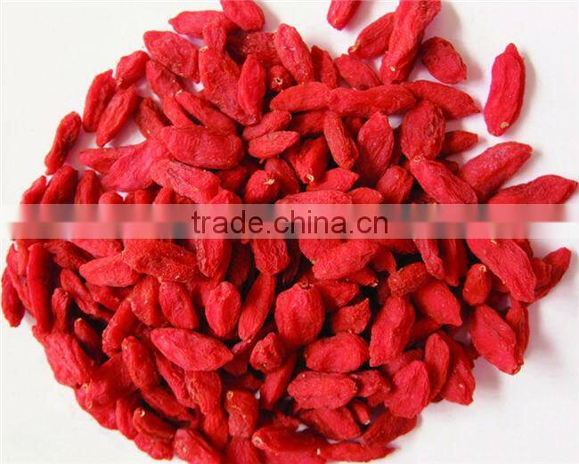 Nutrious Ningxia Wolfberry on Sale