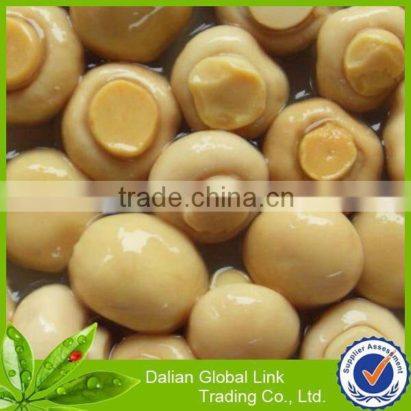 mushroom growing sliced mushroom