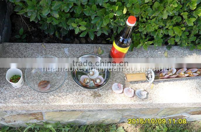 Portable Solar BBQ grill for outdoor