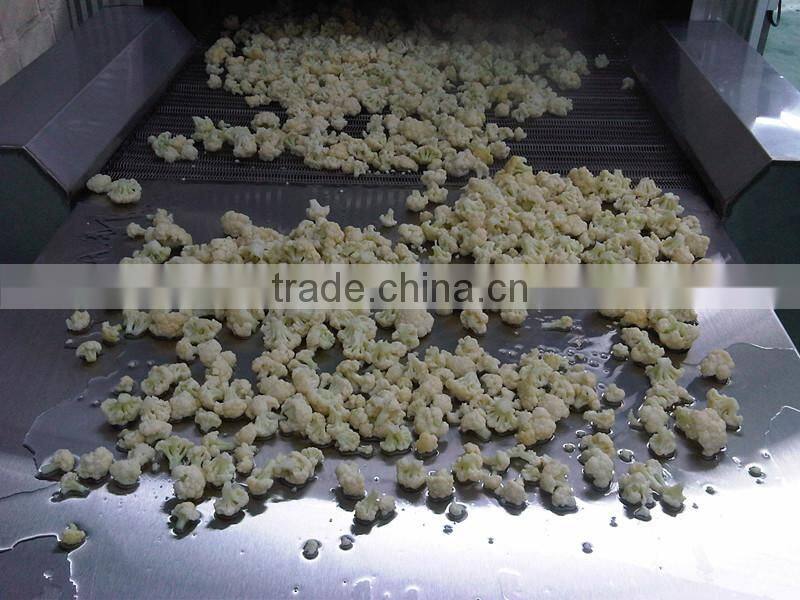 Best sale Tunnel Freezer