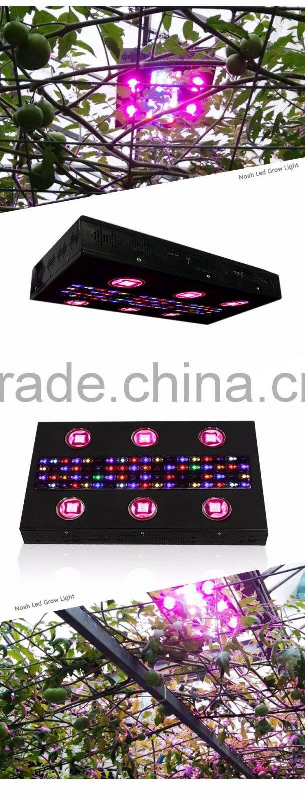 WIFI control COB 5W chips led grow light for greenhouse