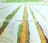anti-uv plastic PE greenhouse film