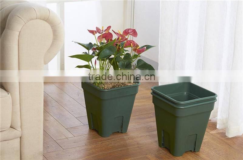 Chinese Rose Flower Pot