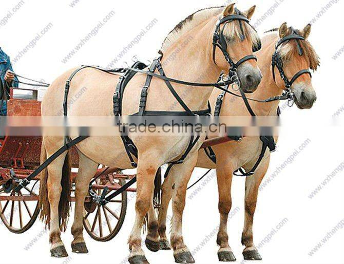 Europe Leather Halter / Padded Horse Halter