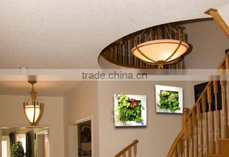China 3D framed photos art