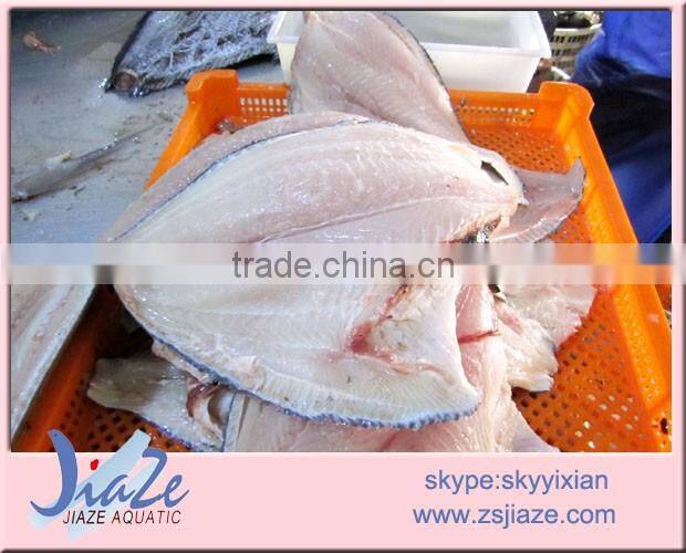 fish fillet Brama Brama