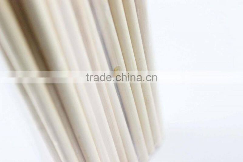 121-16 High Quality Disposable Skewer Bamboo Kebab