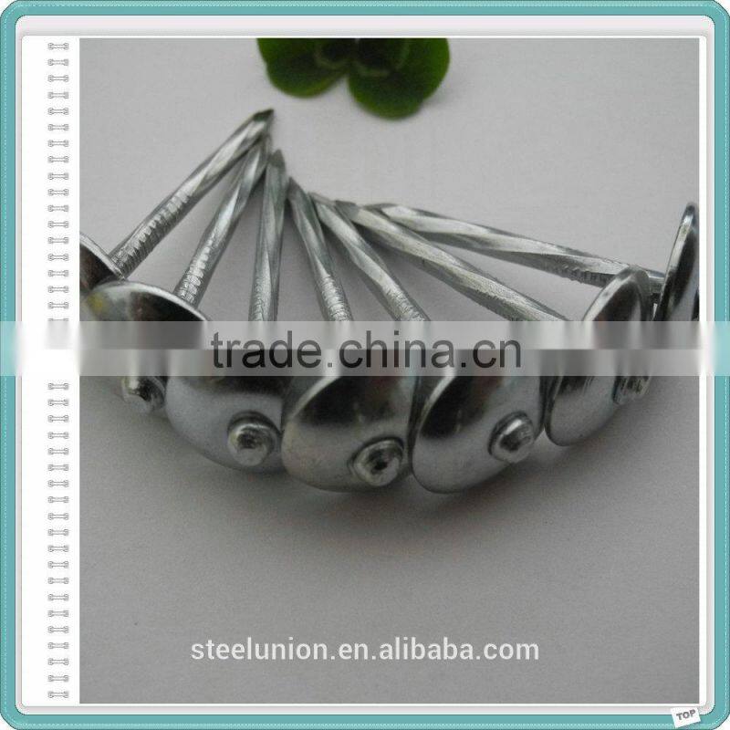 Building Material Dubai and Arabic BWG9 X 2.5" Galvanized Umbrella Roofing Nails