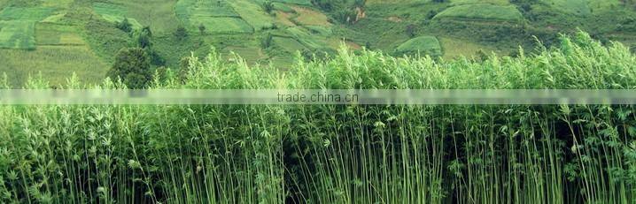 100% Hemp Women Summer Clothes Long Sleeve Plain Cool Clothes