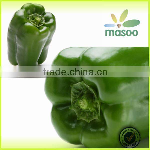 fresh green cayenne peppers export price