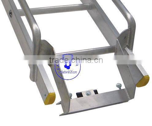 Conservatory Ladders