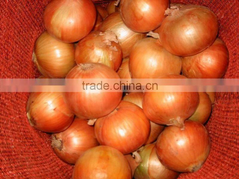 2015 crop Chinese Shandong fresh yellow Onion