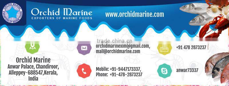 Premium Supplier of Protein Vitamin Rich Sole Fish/ Frozen Sea Food