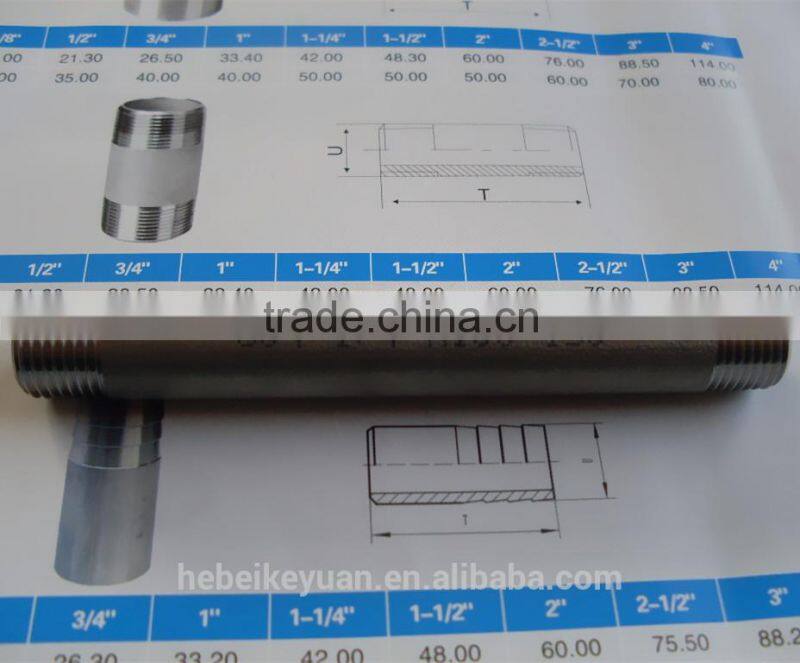 Type #304 Stainless Steel Pipe Nipple,BSP Taper Thread On Both End