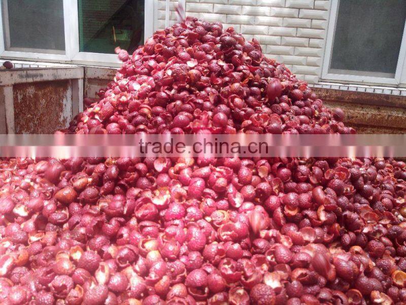 Longan Crusher Separator