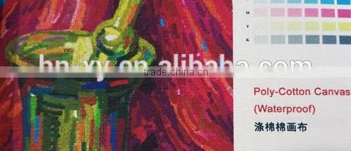 Poly-cotton Canvas Matt Waterproof 360gsm 10S*10S Digital printing