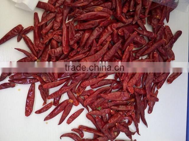 Dry red chili with high quality