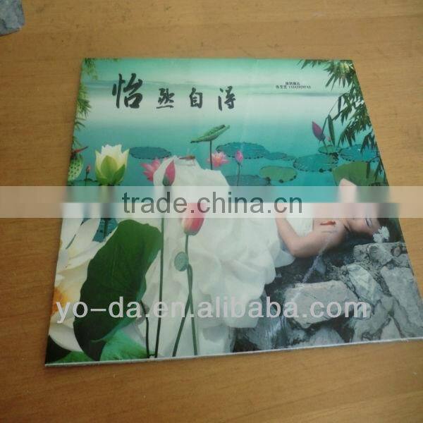 Perfect printing!digital flatbed glass printer/ flatbed digtal printer with high resolution and cheap price!